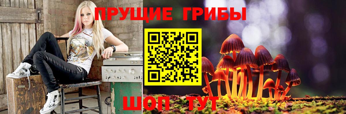 Галлюциногенные грибы ЛСД Лабинск
